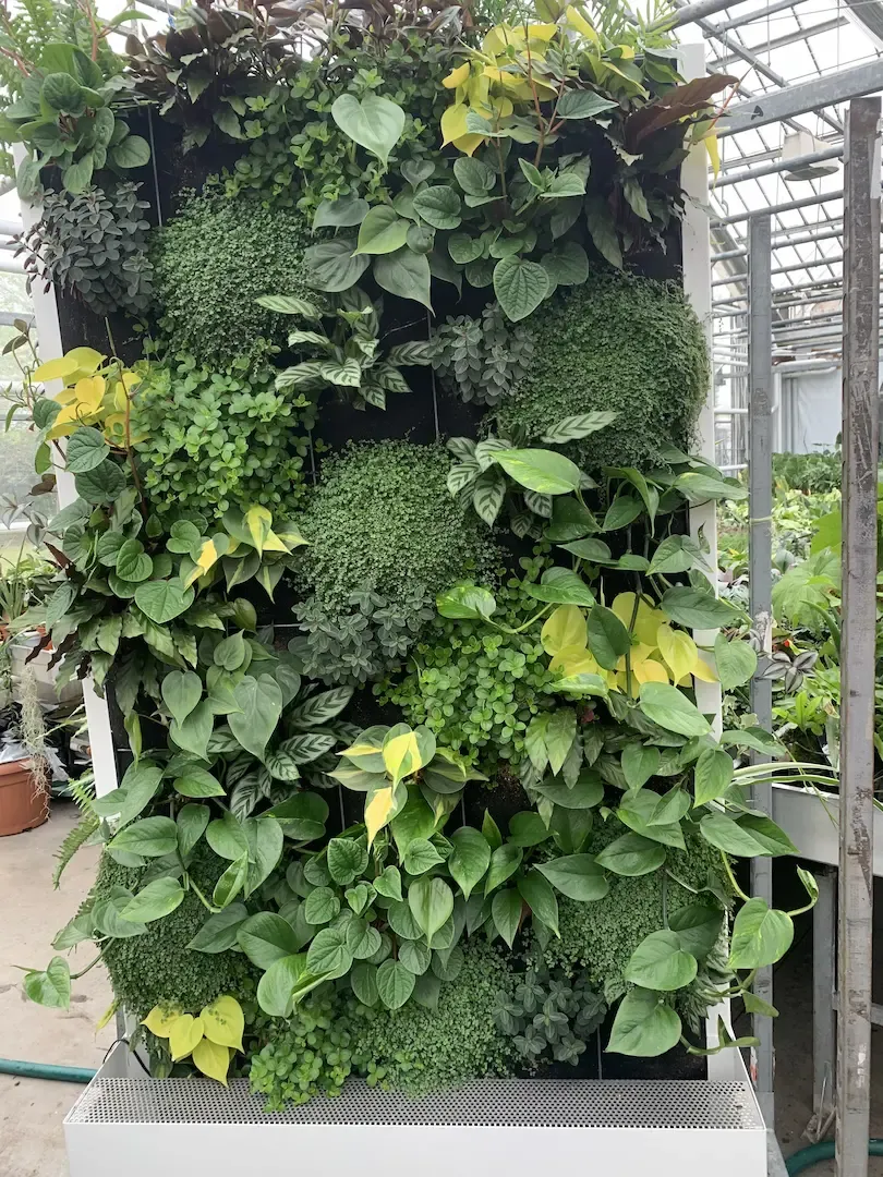 planten kleine groene muur voor binnen