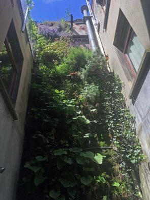 Groene muur tegen liftkoker