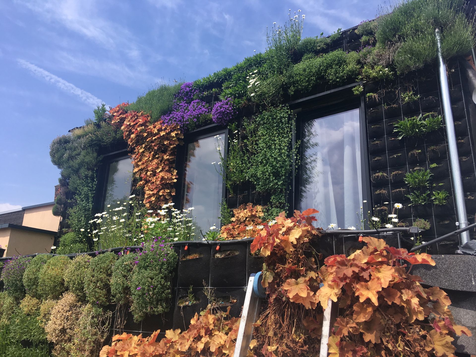 Een groene muur in je salon