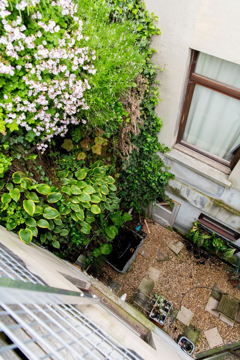 goedkope groene muur