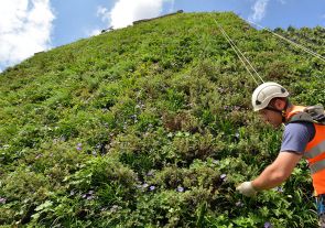 Tuinman voor groene muur