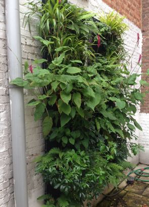 Schaduwplanten op een binnenkoer